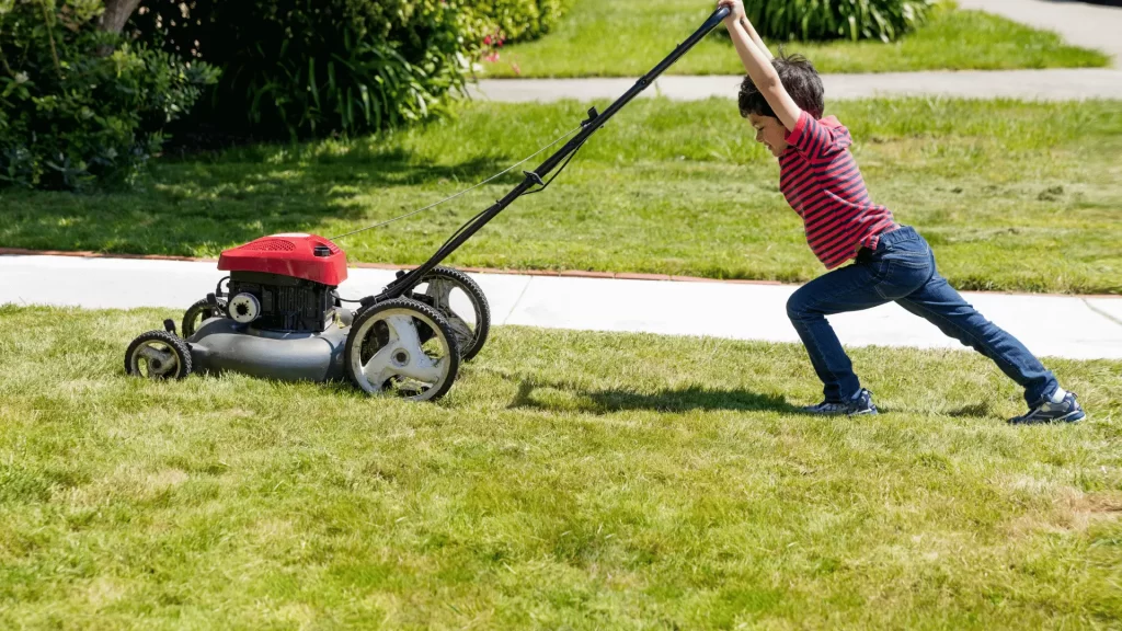 lawnmower